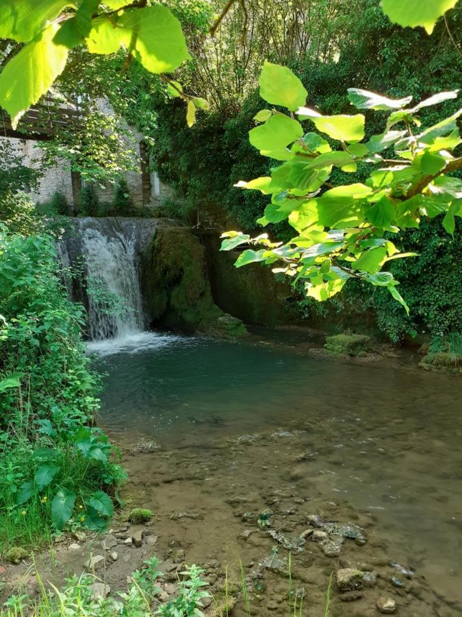 Moulin Chantepierre Bed & Breakfast *